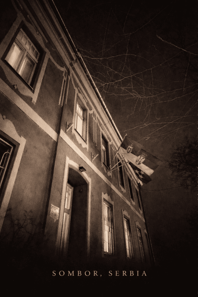 sombor cultural center laza kostic flags noir illustration.png